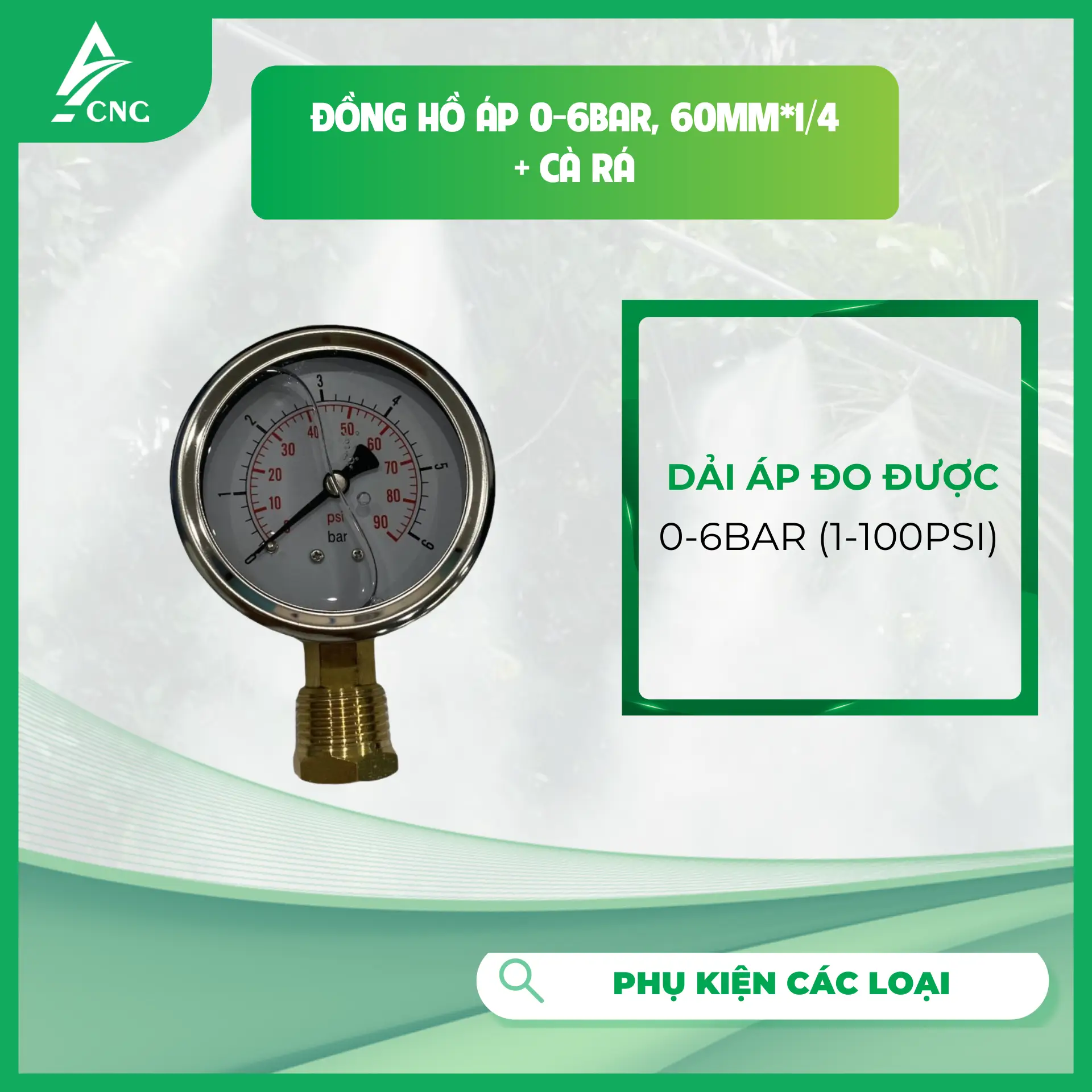 Đồng hồ áp 0-6bar, 60mm*1/4 + cà rá