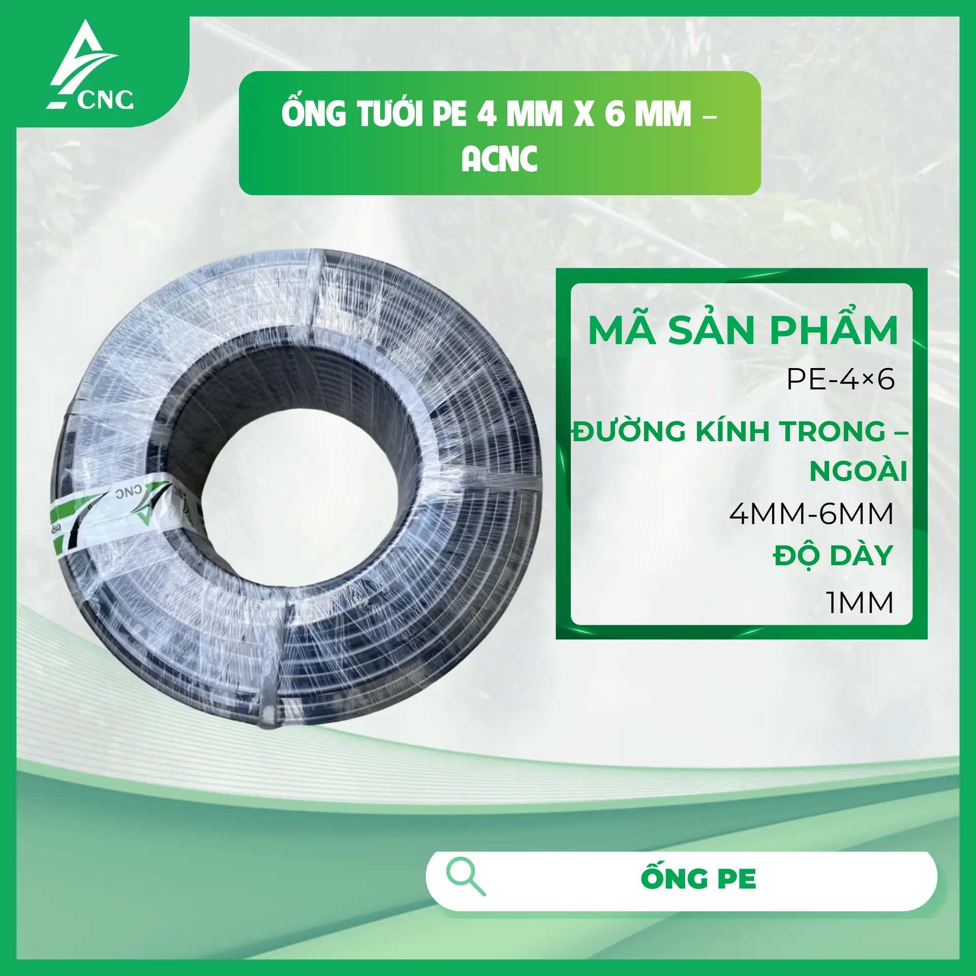 Ống tưới PE 4 mm x 6 mm - ACNC