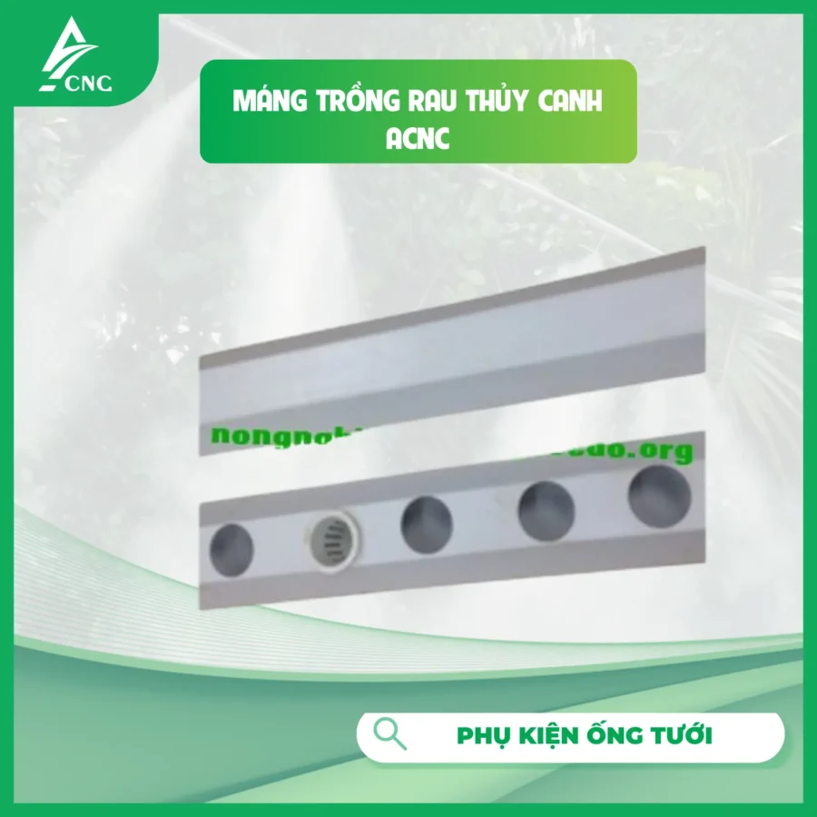 MÁNG TRỒNG RAU THỦY CANH ACNC