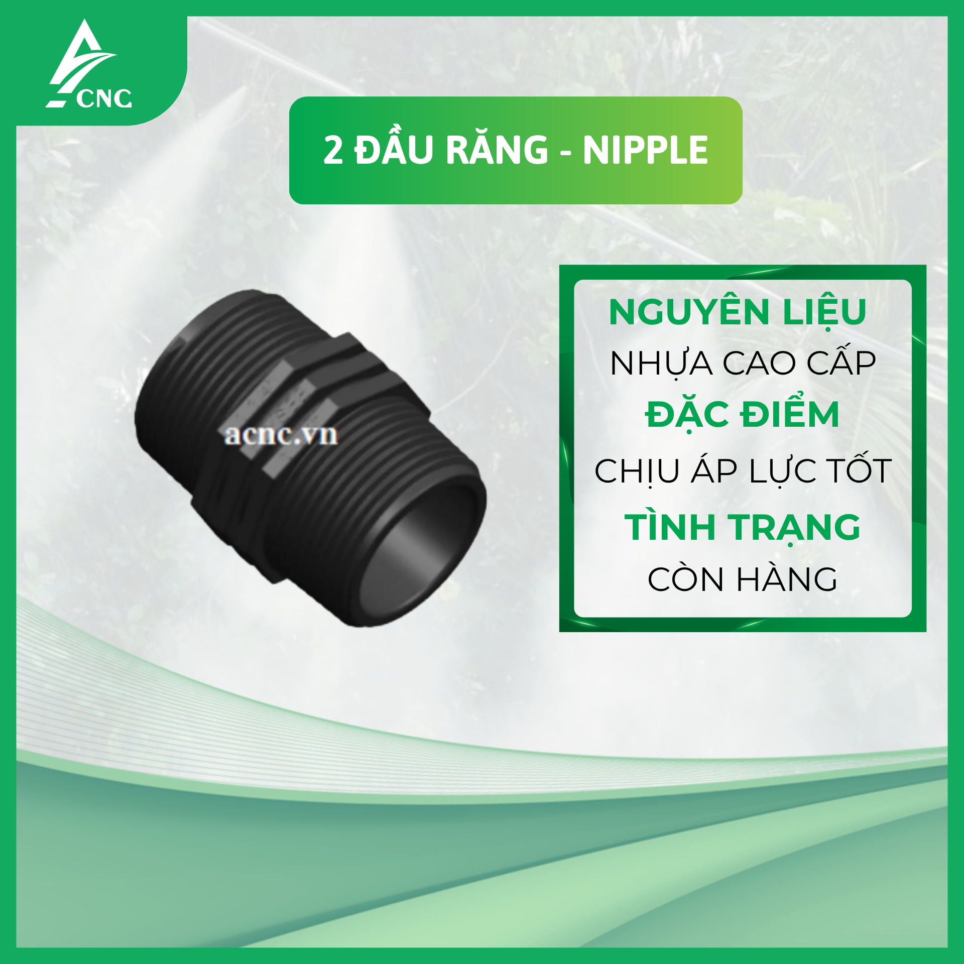2 Đầu Răng – Nipple