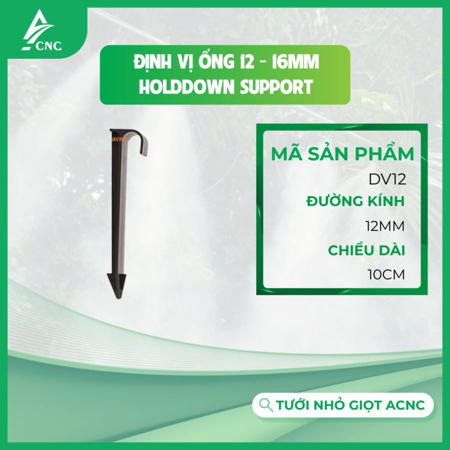 Định vị ống 12; 16mm - Holddown Support