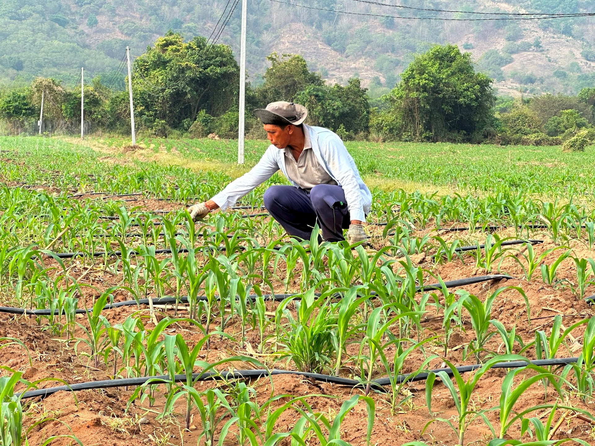 0be16d4c6a9cd8c2818d 0be16d4c6a9cd8c2818d.jpg