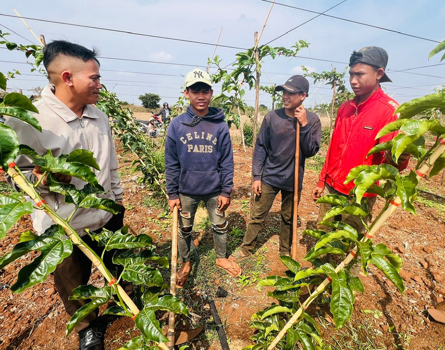 Nông dân xã Hà Bầu (huyện Đak Đoa) đầu tư trồng chanh dây theo hướng hữu cơ. Ảnh: Đinh Yến 3tnong-dan-xa-ha-bau-dau-tu-trong-chanh-day-theo-huong-huu-co-anh-dinh-yen.jpg