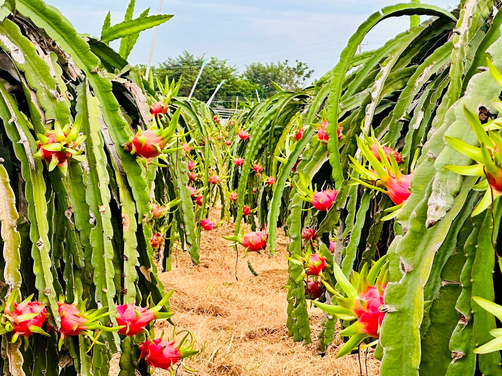 448f5a59dd7e6020396f 448f5a59dd7e6020396f.jpg