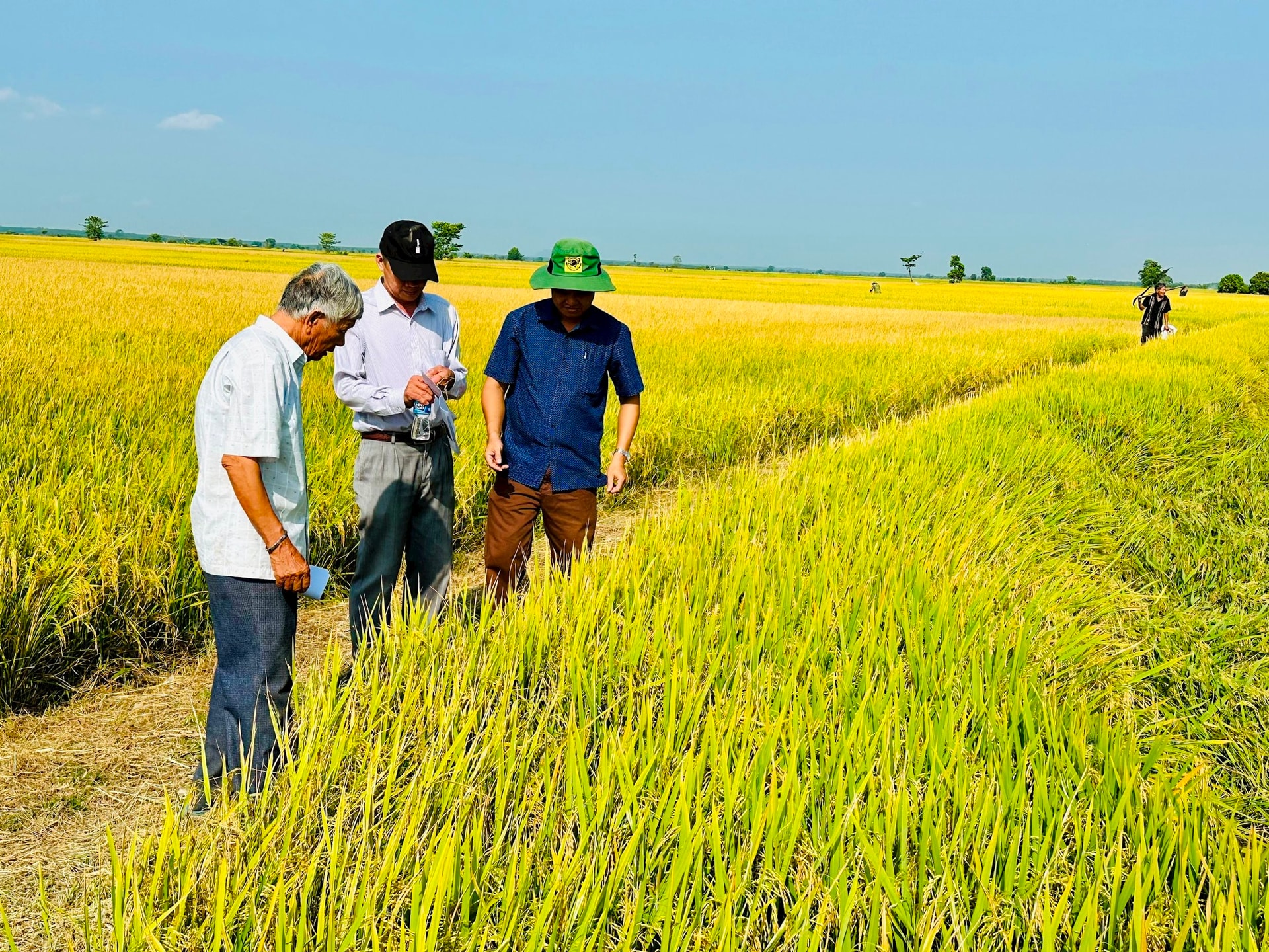 6745e57cbb860ed85797-1 6745e57cbb860ed85797.jpg