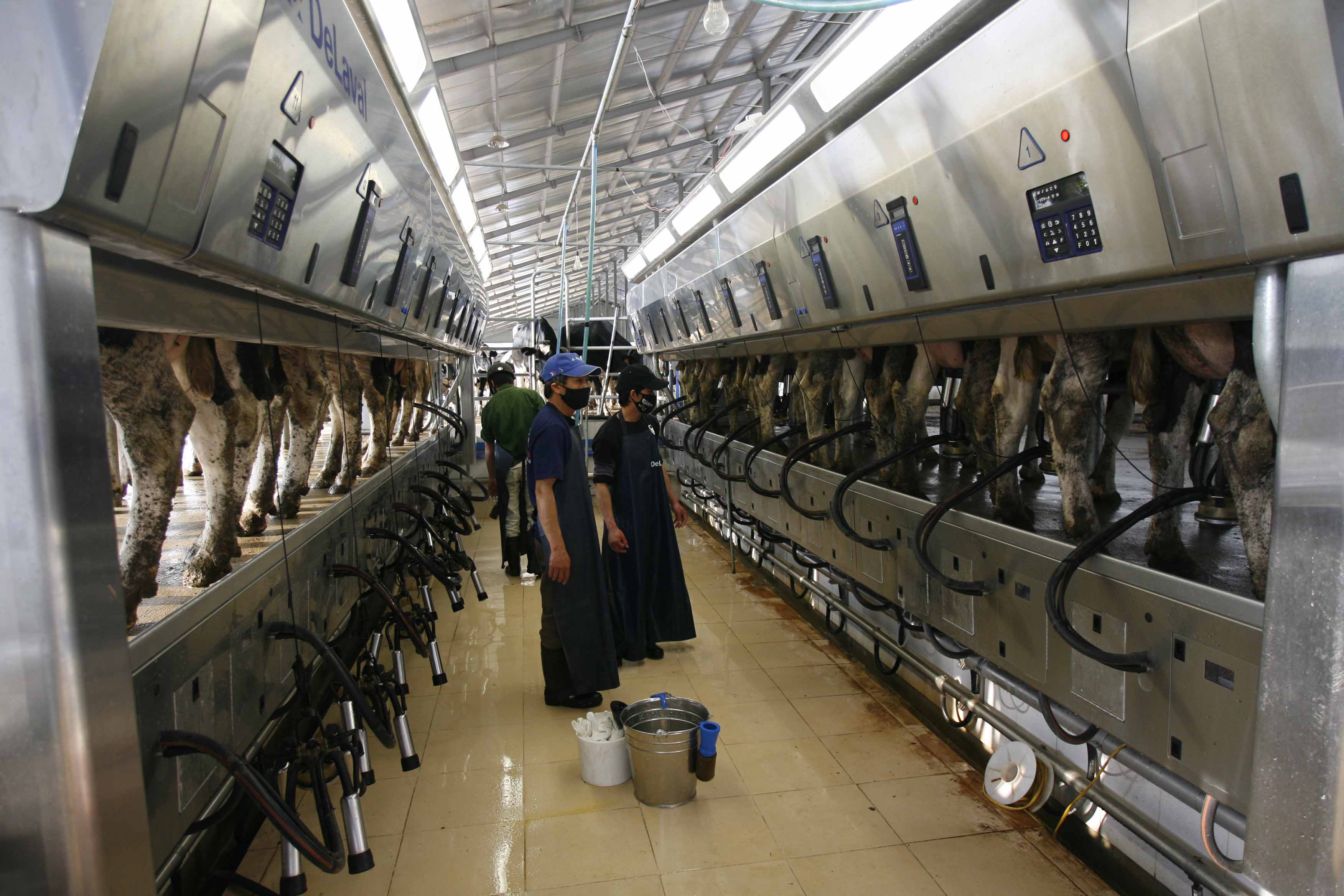 Cùng tìm hiểu nền nông nghiệp kiểu mẫu của Nhật Bản