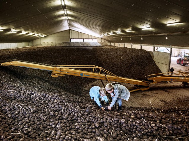 Hà Lan: Quốc gia nhỏ bé có thể nuôi cả thế giới - Ảnh 5. Hà Lan: Quốc gia nhỏ bé có thể nuôi cả thế giới - Ảnh 5.