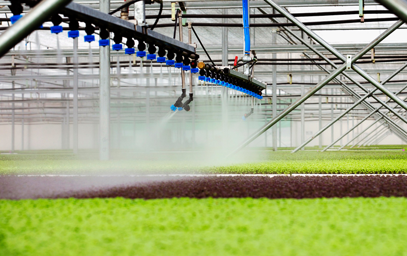 Khởi nghiệp trong nông nghiệp: Công nghệ là chìa khóa thành công  - ảnh 1