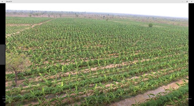 Nông trại nhìn từ trên cao