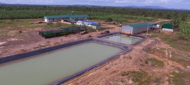 Toàn cảnh nông trại ca cao CIC