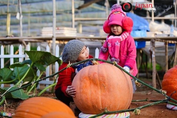 tìm hiểu nền nông nghiệp kiểu mẫu nhật bản