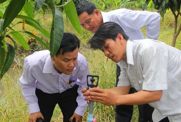 tuoi185907173_grande