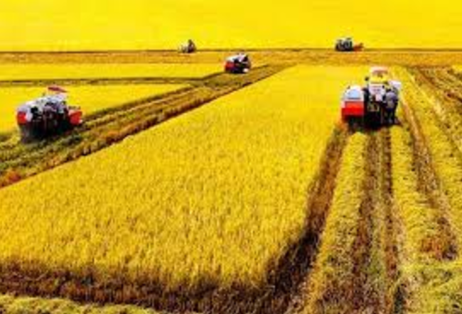 Nông nghiệp trở lại đường đua Nông nghiệp trở lại đường đua