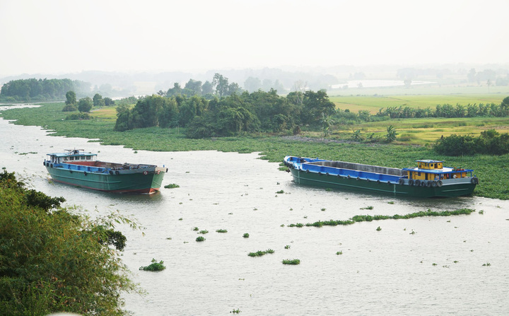 Sông Vàm Cỏ Đông thuận lợi giao thông đường thuỷ, góp phần phát triển công, nông, lâm nghiệp cho Tây Ninh. (Ảnh: Đại Dương)