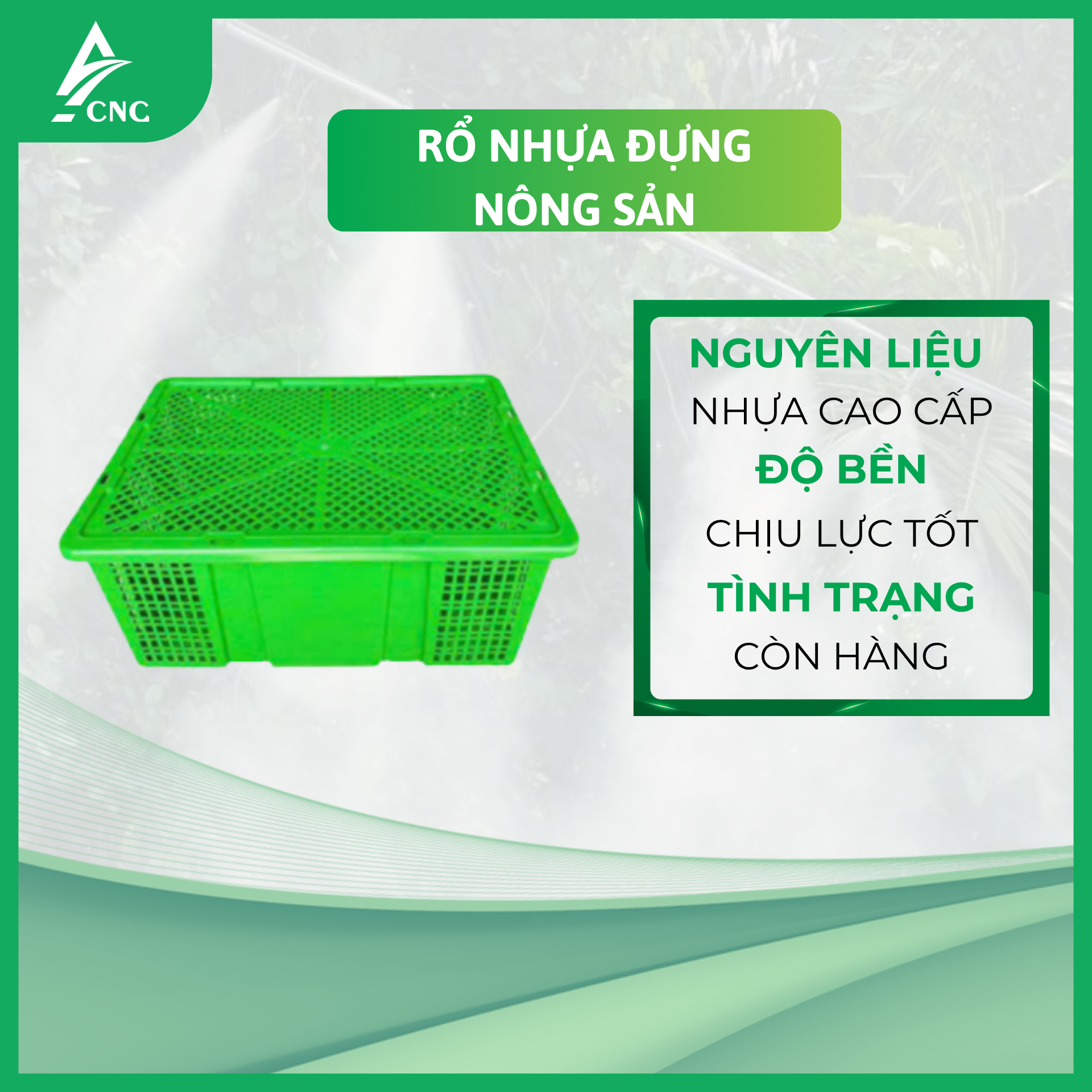 RỔ NHỰA ĐỰNG NÔNG SẢN